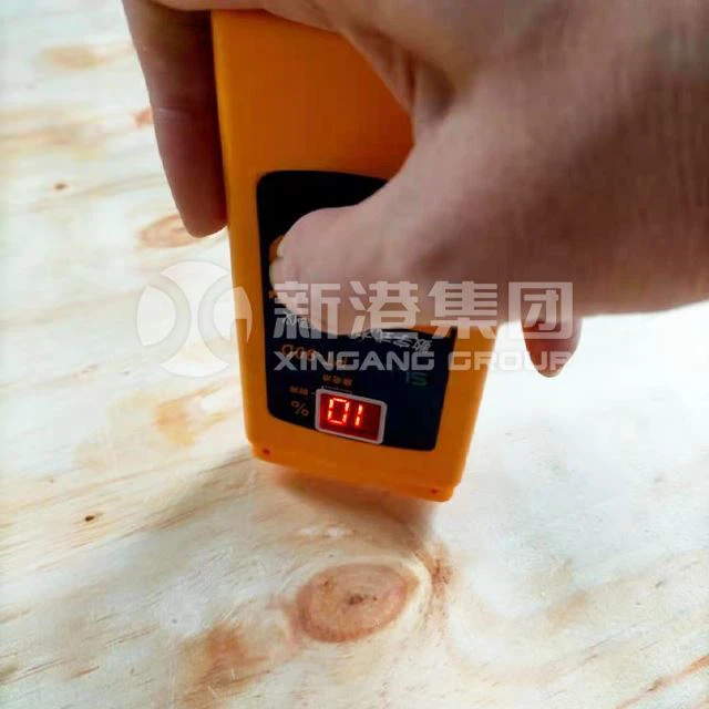 CDX Plywood Pine Plywood For Structure Best Quality