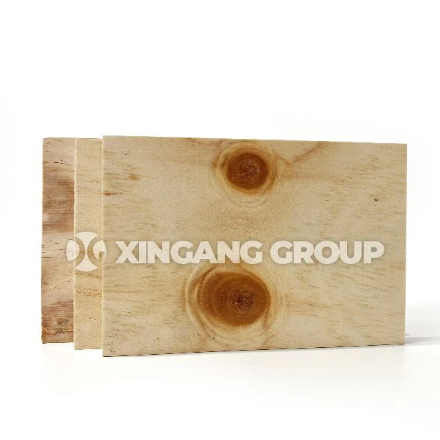 CDX Plywood Pine Plywood For Structure Best Quality