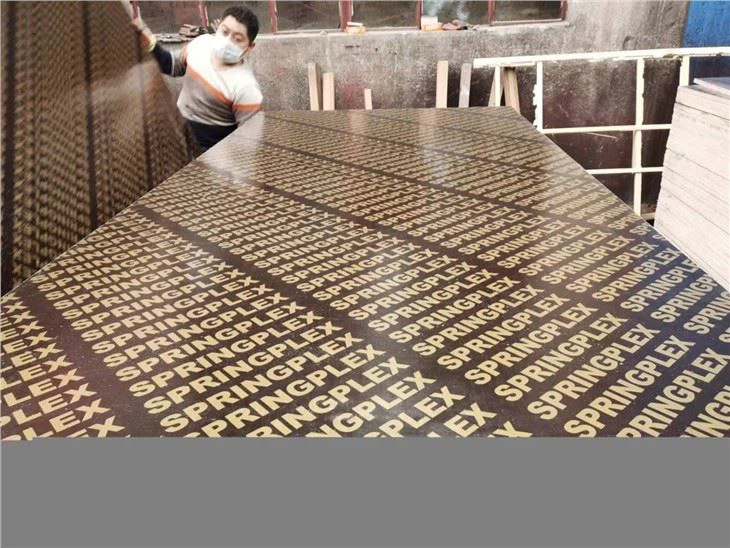Phenolic BoardBlack Film Faced Plywood