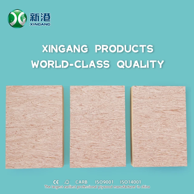 Bintangor Plywood Laminated Marine