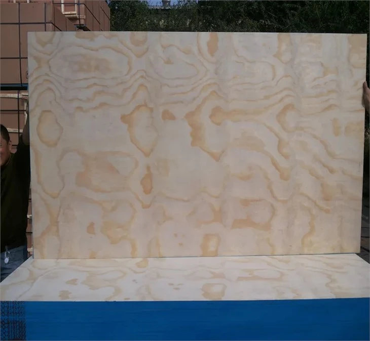CDX Construction Pine Plywood Building Material 18mm 4x8ft Structure Plywood